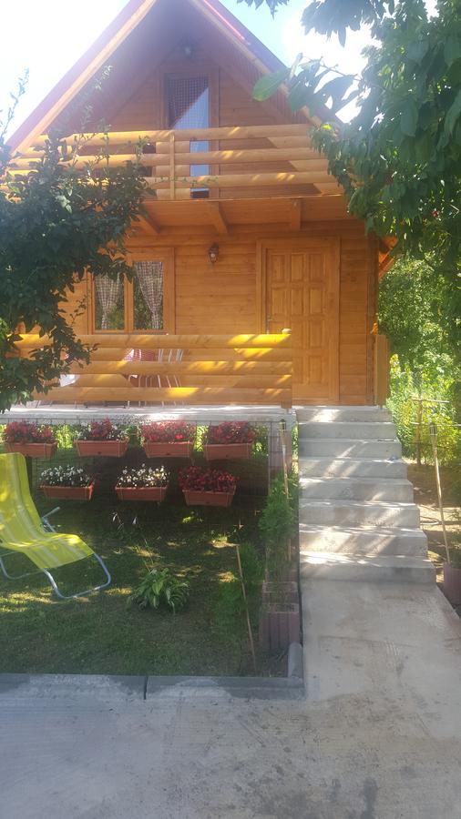 Holiday home Vacation Sajra